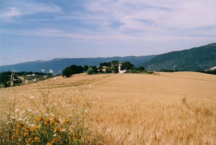Villa Casale Santomanno Acquasparta Exterior foto